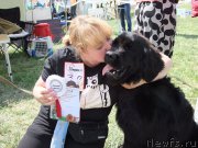 Превью фото № 158929