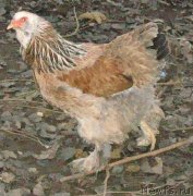 Превью фото № 158946