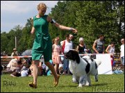 Превью фото № 159010