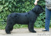 Превью фото № 159176