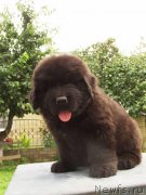 Превью фото № 159228