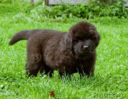 Превью фото № 159229