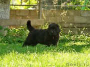 Превью фото № 159281