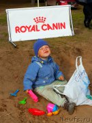 Превью фото № 159357