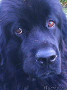 Превью фото № 159365