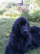 Превью фото № 159366