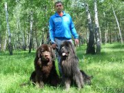 Превью фото № 159423