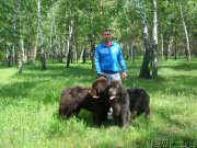 Превью фото № 159425