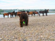 Превью фото № 159511
