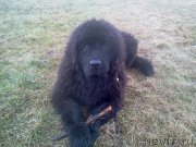 Превью фото № 159577