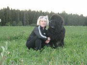 Превью фото № 159610