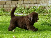 Превью фото № 159629