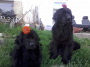 Превью фото № 159761