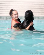 Превью фото № 159774