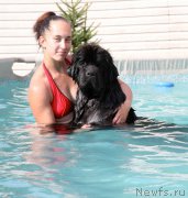 Превью фото № 159775