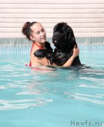 Превью фото № 159780