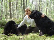 Превью фото № 159797