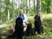 Превью фото № 159803