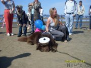 Превью фото № 159826