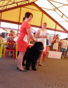 Превью фото № 159829