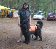 Превью фото № 159834