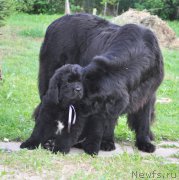 Превью фото № 159837