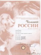 Превью фото № 159845