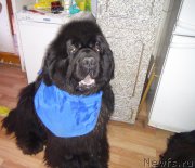 Превью фото № 159858