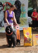 Превью фото № 159921