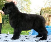 Превью фото № 159934