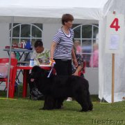 Превью фото № 160077