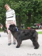 Превью фото № 160079