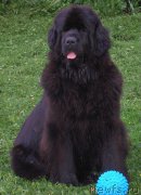 Превью фото № 160081