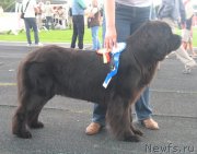 Превью фото № 160082