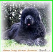 Превью фото № 160107