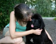 Превью фото № 160124