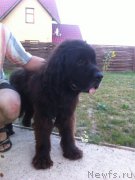 Превью фото № 160194