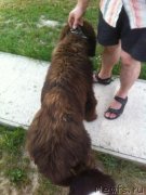 Превью фото № 160196