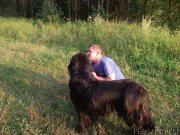 Превью фото № 160201