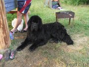 Превью фото № 160202