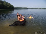 Превью фото № 160206