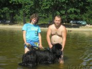 Превью фото № 160217