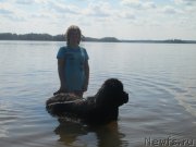 Превью фото № 160218