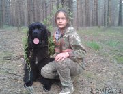 Превью фото № 160543