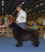 Превью фото № 160616