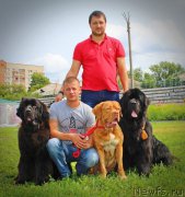 Превью фото № 160745