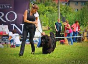 Превью фото № 160751