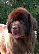 Превью фото № 160764