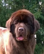 Превью фото № 160765