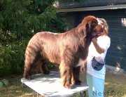 Превью фото № 160766